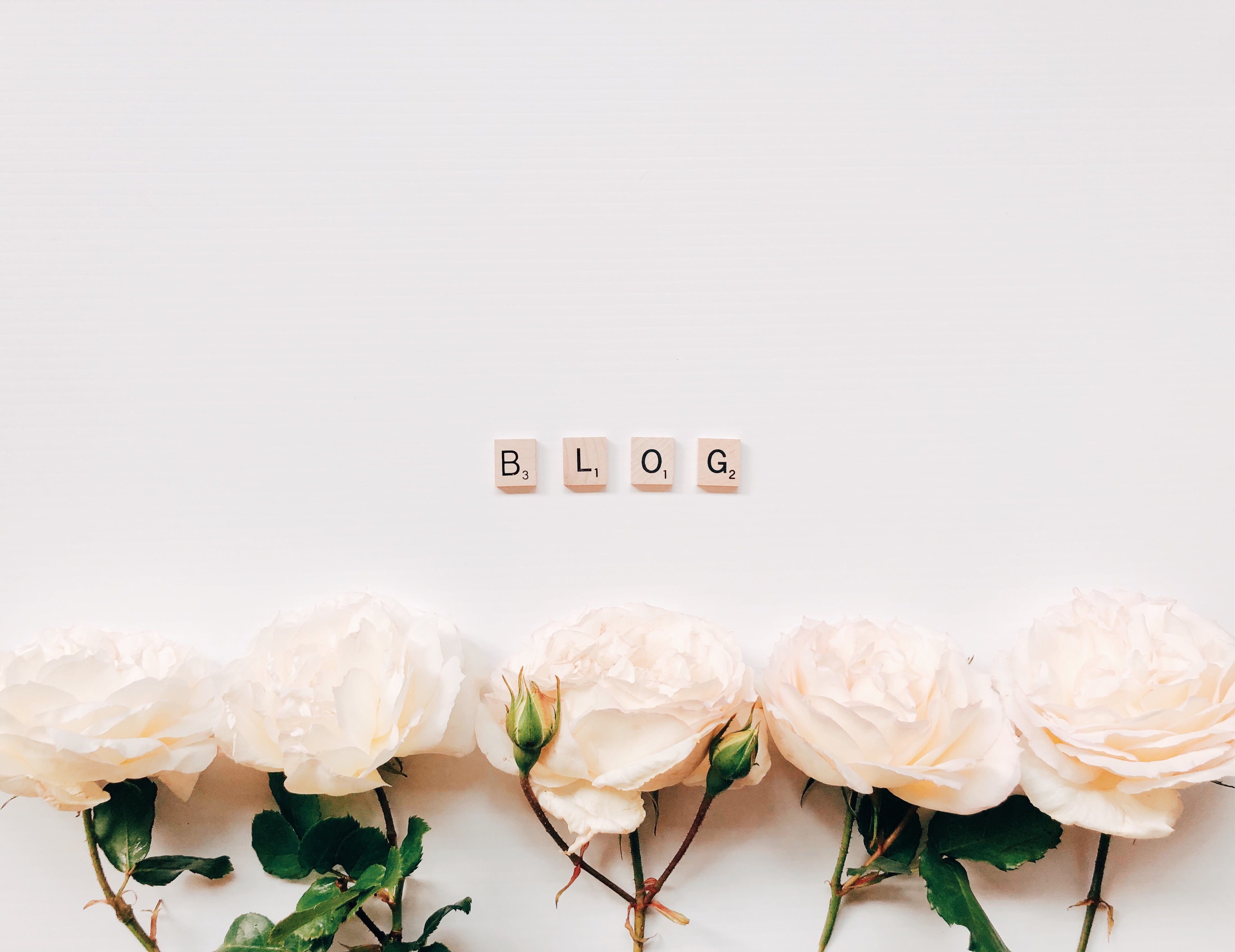 BLOG VM-COSMETIQUES